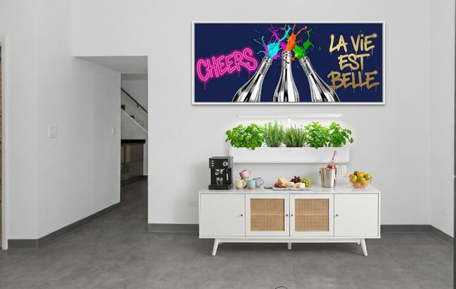 217 W Main Street, Lake Zurich, IL 60047