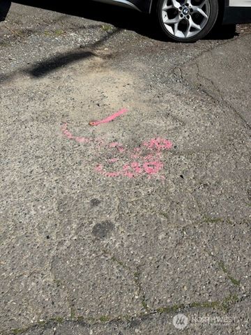 38 XX Boyd Place SW, Seattle, WA 98116