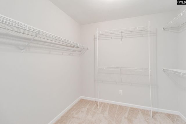 212 Willowood Parkway, Chapin, SC 29036