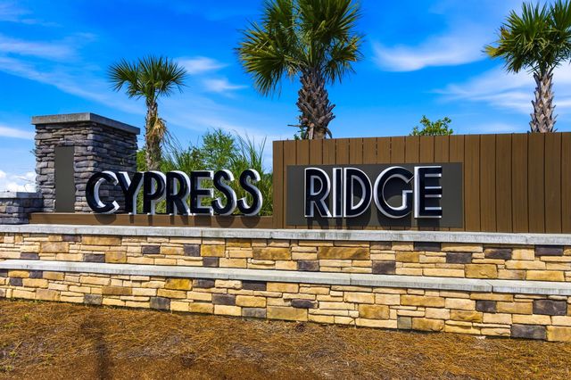 1113 Lauryn Oak Loop, Longs, SC 29568