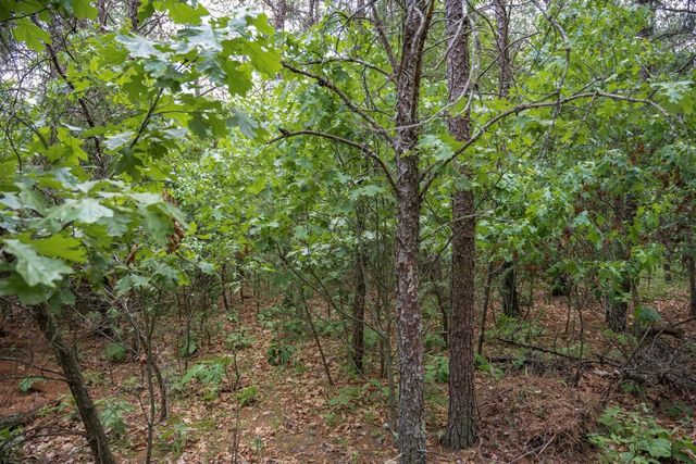 N10391 St Josephs Way, Necedah, WI 54646