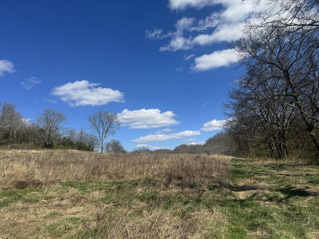 0 Salt Lick Creek Rd, Gainesboro, TN 38562