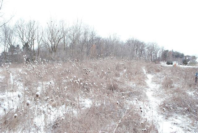 3847 Lake Vista Drive, Dexter, MI 48130