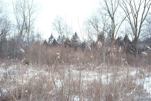 3847 Lake Vista Drive, Dexter, MI 48130