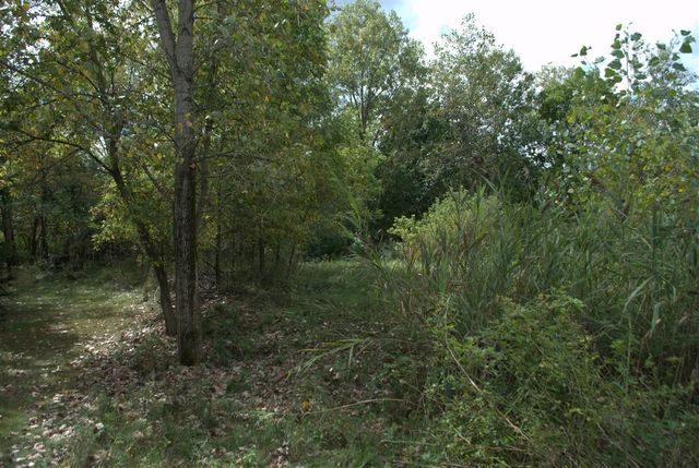 3847 Lake Vista Drive, Dexter, MI 48130