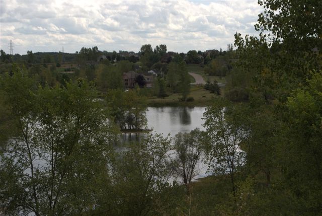 3847 Lake Vista Drive, Dexter, MI 48130