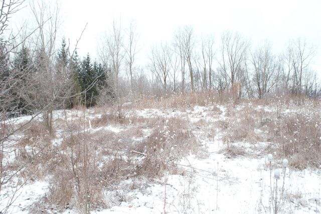 3847 Lake Vista Drive, Dexter, MI 48130