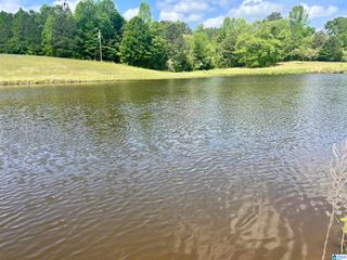 Lot 13 MARY DRIVE, Roanoke, AL 36274