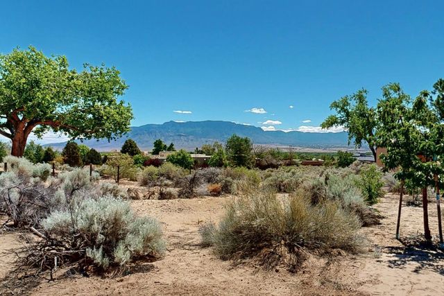 3 Chamisa Place, Corrales, NM 87048