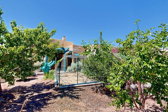 3 Chamisa Place, Corrales, NM 87048
