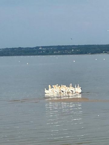 1751 EAST SHORE CIRCLE, Green Bay, WI 54302