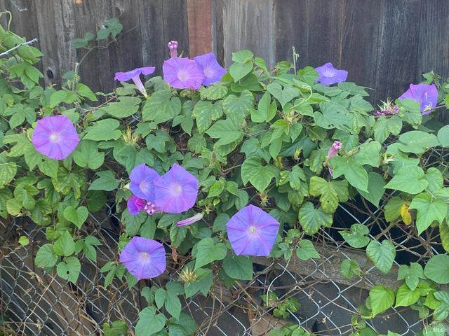 706 Anderson Way, Rio Vista, CA 94571