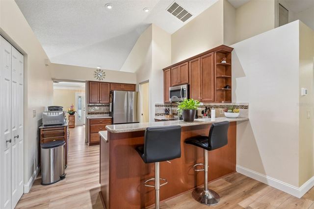 11029 STREAMSIDE DRIVE, Tampa, FL 33624