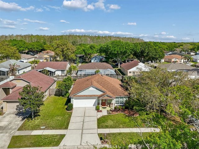 11029 STREAMSIDE DRIVE, Tampa, FL 33624