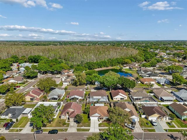 11029 STREAMSIDE DRIVE, Tampa, FL 33624