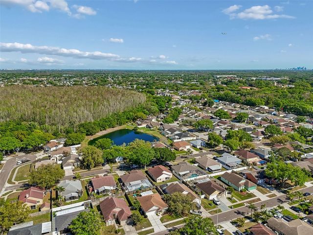 11029 STREAMSIDE DRIVE, Tampa, FL 33624