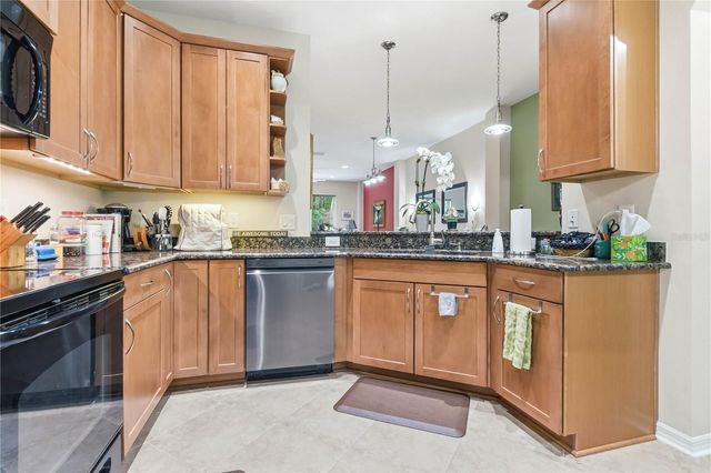 12658 SILVERDALE STREET, Tampa, FL 33626