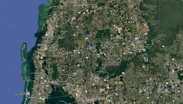 3254 GROVE PLACE, Land O Lakes, FL 34639