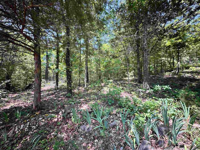 26 Quapaw Drive, Cherokee Village, AR 72529