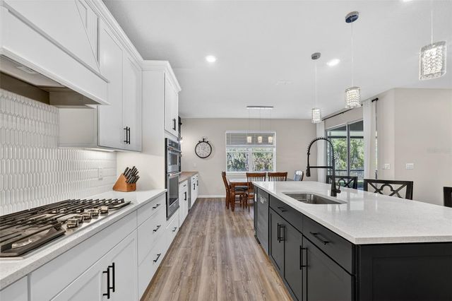 17731 RAMBLE ON WAY, Land O Lakes, FL 34638