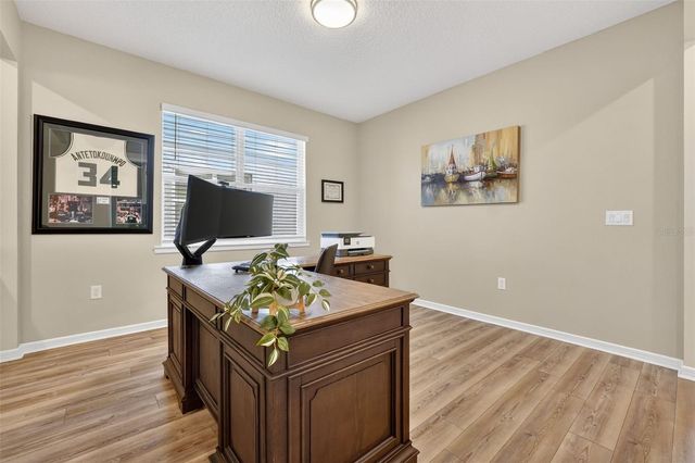 17731 RAMBLE ON WAY, Land O Lakes, FL 34638