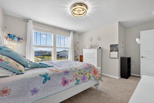 17731 RAMBLE ON WAY, Land O Lakes, FL 34638