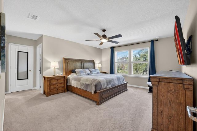 17731 RAMBLE ON WAY, Land O Lakes, FL 34638