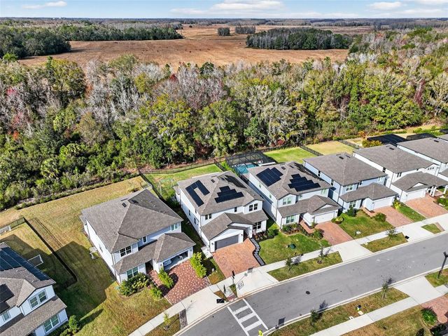 17731 RAMBLE ON WAY, Land O Lakes, FL 34638