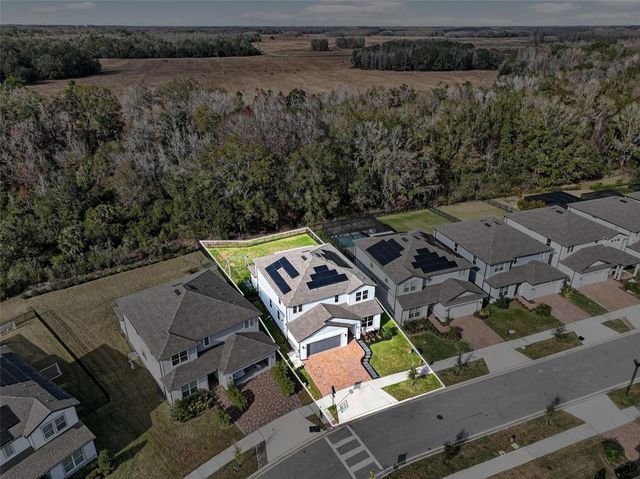 17731 RAMBLE ON WAY, Land O Lakes, FL 34638