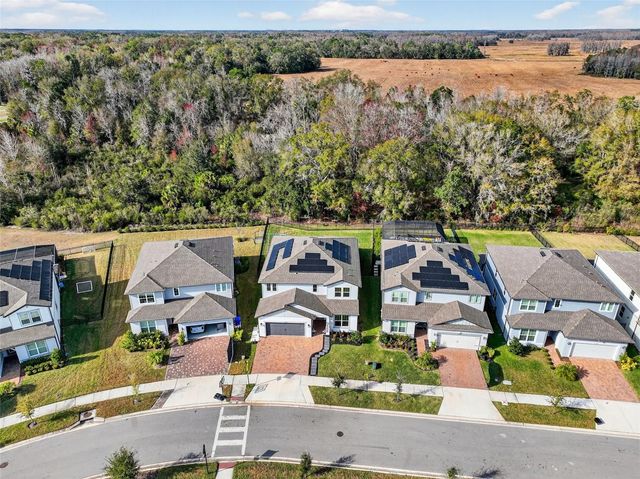 17731 RAMBLE ON WAY, Land O Lakes, FL 34638