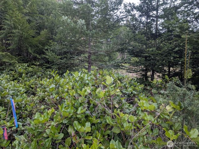 0 Critter Country Trail, Sequim, WA 98382