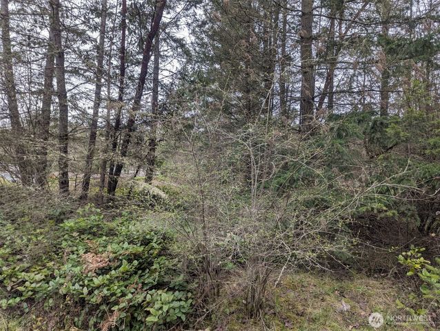 0 Critter Country Trail, Sequim, WA 98382