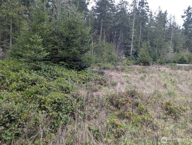 0 Critter Country Trail, Sequim, WA 98382