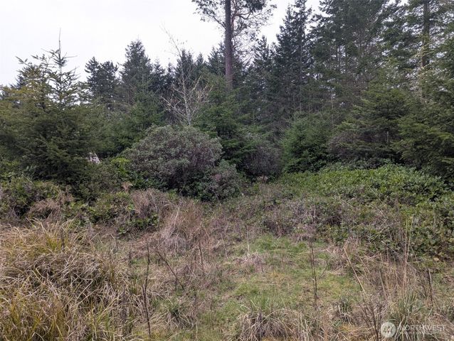 0 Critter Country Trail, Sequim, WA 98382