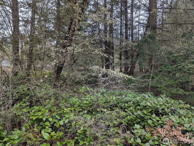 0 Critter Country Trail, Sequim, WA 98382