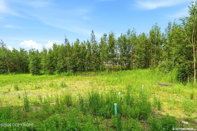 2584 N Midland Avenue, Palmer, AK 99645