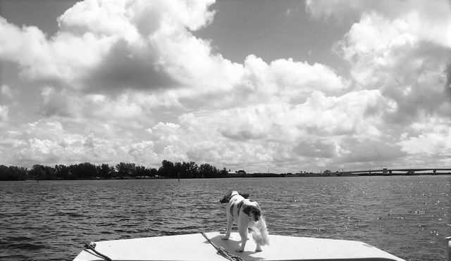 2539 QUAIL TERRACE, Port Charlotte, FL 33981