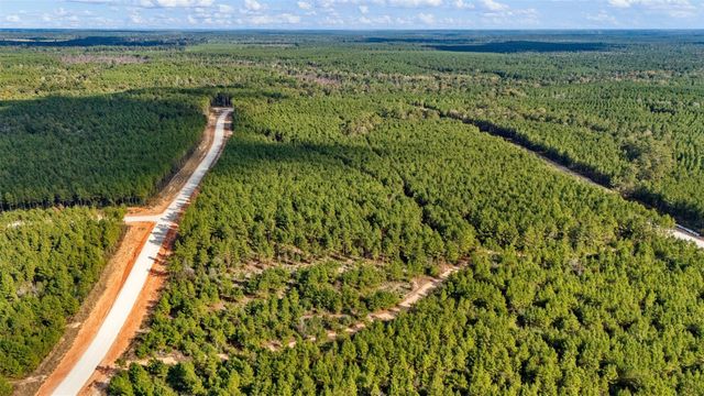 12082 and 12090 Compassion Lane, Willis, TX 77378