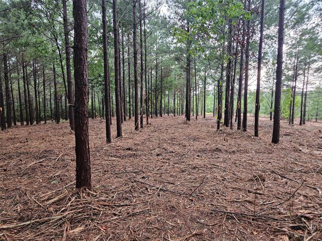 12082 and 12090 Compassion Lane, Willis, TX 77378