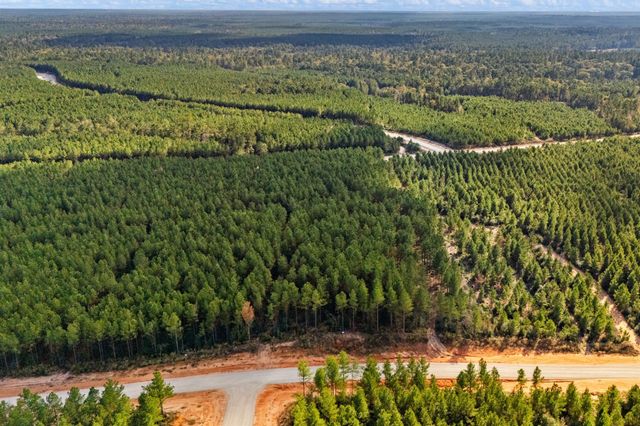 12082 and 12090 Compassion Lane, Willis, TX 77378