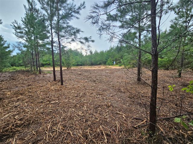 12082 and 12090 Compassion Lane, Willis, TX 77378