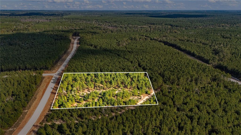 12082 and 12090 Compassion Lane, Willis, TX 77378