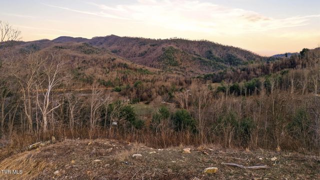 Lot 25 Eagle Ridge Parkway, Butler, TN 37640