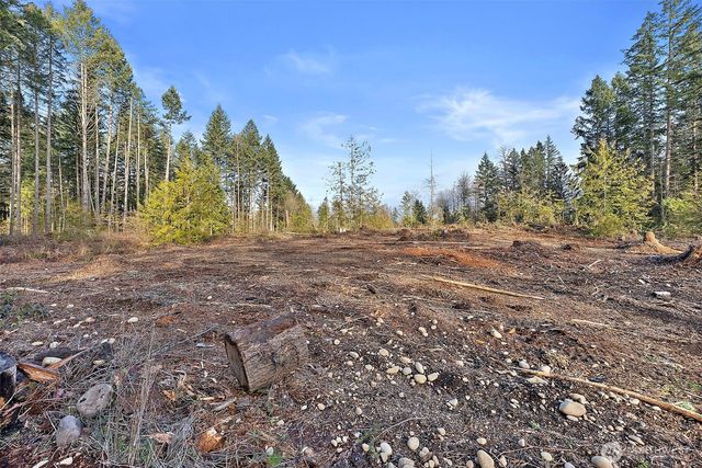 30201 S Creek Road E, Graham, WA 98338