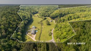 198 Robinson Hollow Rd, Waynesboro, TN 38485