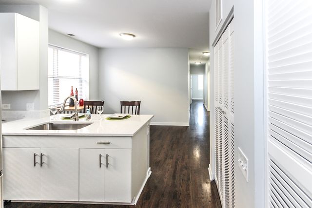 1153 W Washburne Avenue 301, Chicago, IL 60608