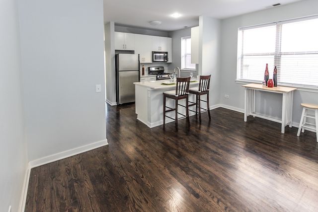 1153 W Washburne Avenue 301, Chicago, IL 60608