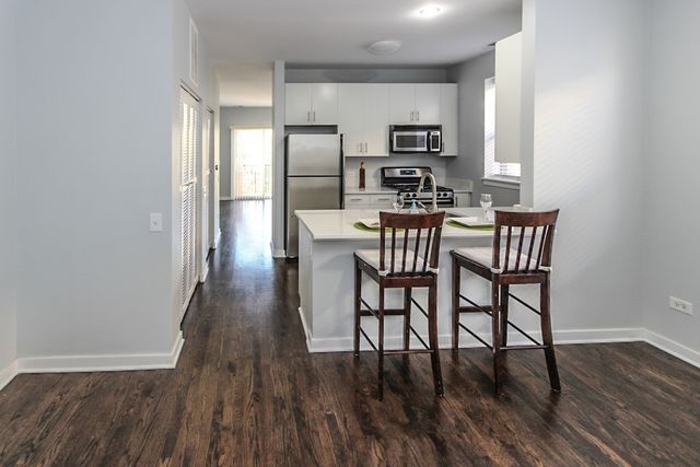 1153 W Washburne Avenue 301, Chicago, IL 60608