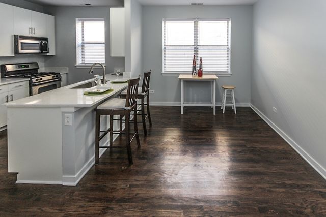 1153 W Washburne Avenue 301, Chicago, IL 60608
