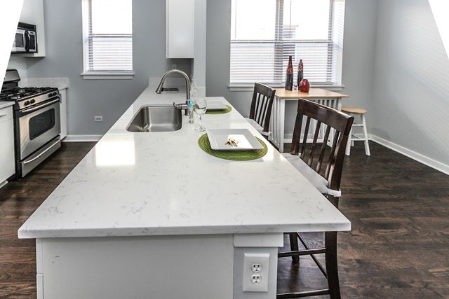 1153 W Washburne Avenue 301, Chicago, IL 60608